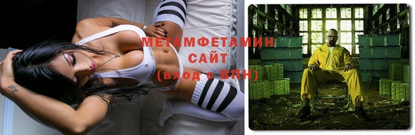 шишки Белокуриха