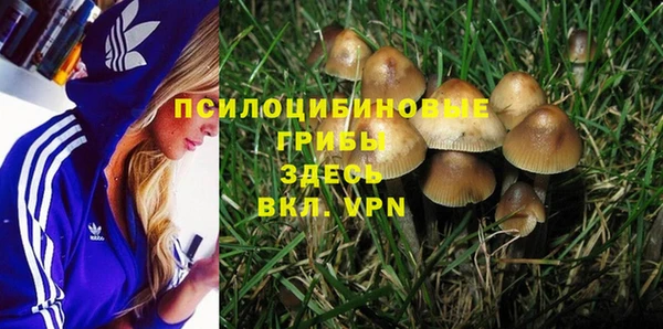 первитин Беломорск