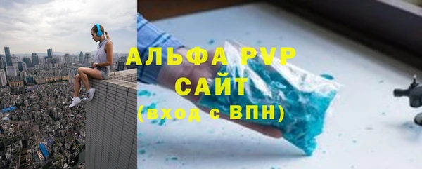 шишки Белокуриха