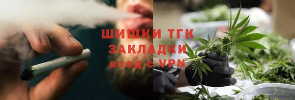 шишки Белокуриха