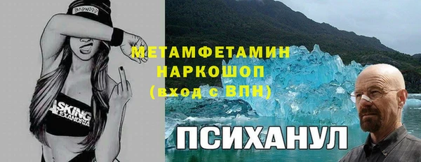 шишки Белокуриха