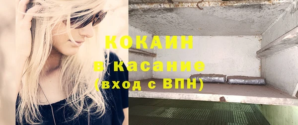 шишки Белокуриха