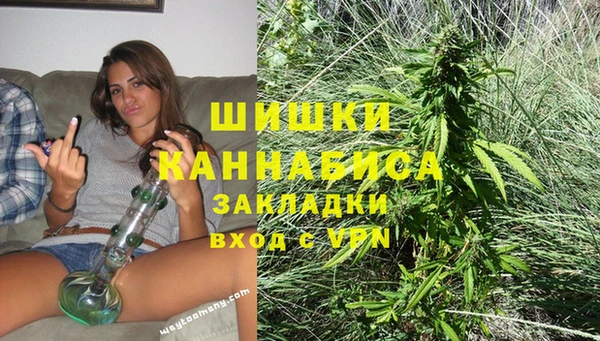 шишки Белокуриха