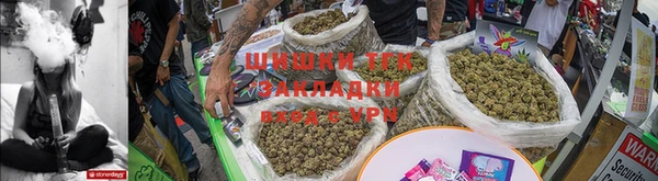 шишки Белокуриха