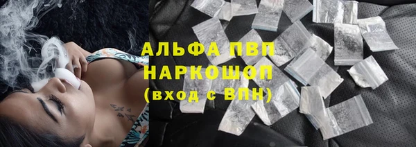 шишки Белокуриха