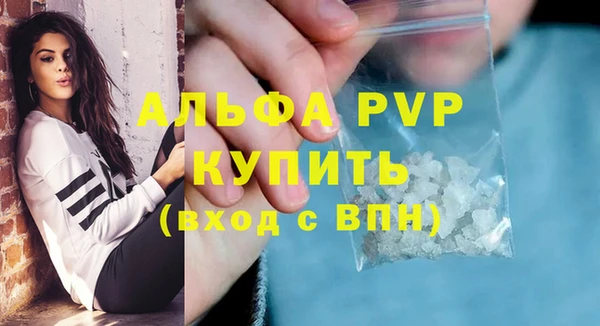 шишки Белокуриха