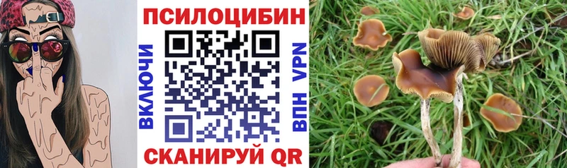 Галлюциногенные грибы MAGIC MUSHROOMS Горно-Алтайск
