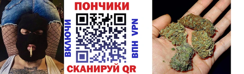 где купить наркоту  блэк спрут tor  Бошки Шишки сатива  Горно-Алтайск 